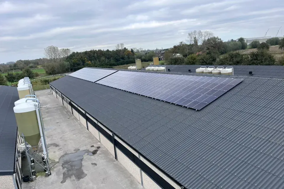 Aalter Varkenshouderij