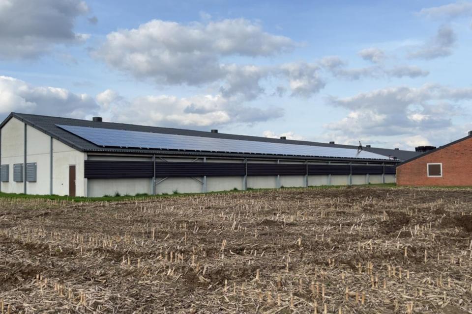Zonnepanelen landbouw
