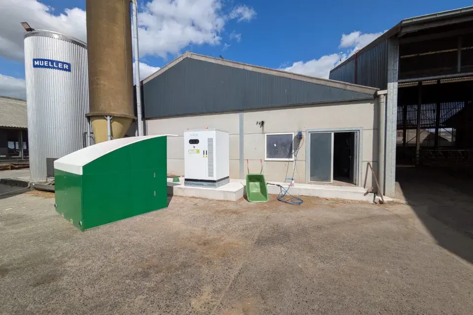 Patrick alveringem octave