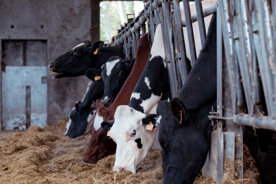 ensoltecbatterijaalter