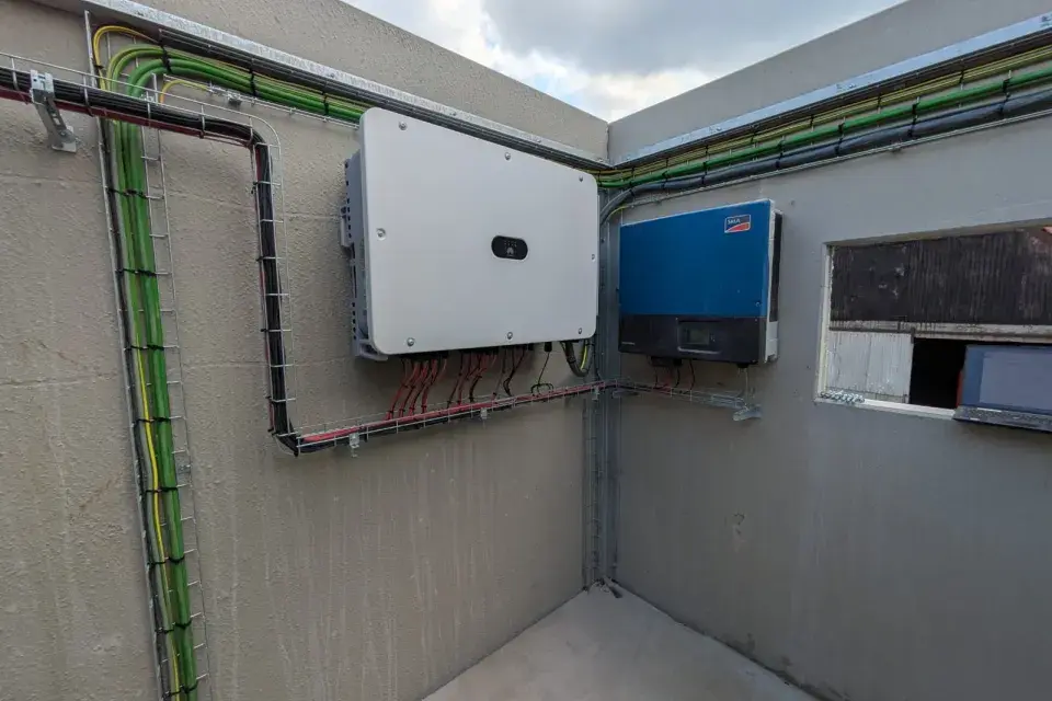 Octavebatterijdeinze-varkensbedrijf